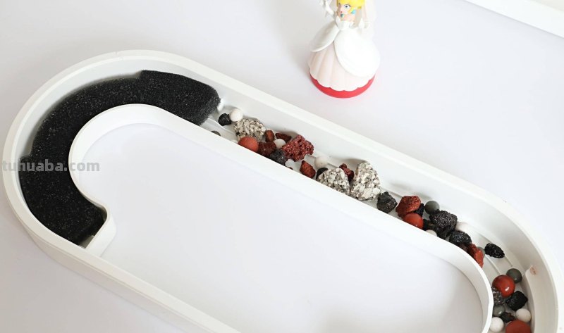 子非鱼，焉知鱼之乐？画法几何两栖生态鱼缸