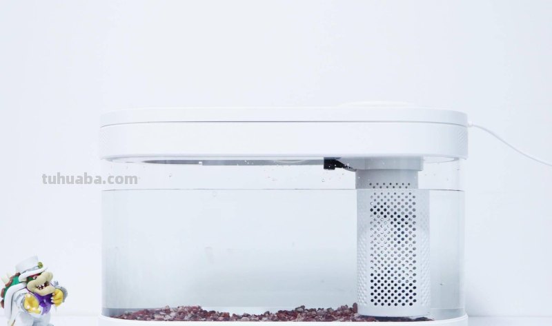 子非鱼，焉知鱼之乐？画法几何两栖生态鱼缸