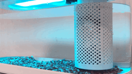 子非鱼，焉知鱼之乐？画法几何两栖生态鱼缸