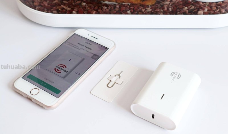 子非鱼，焉知鱼之乐？画法几何两栖生态鱼缸