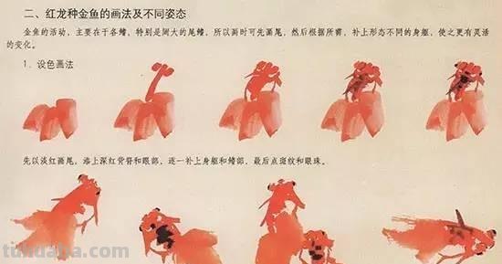 国画｜各种鱼的写意画法