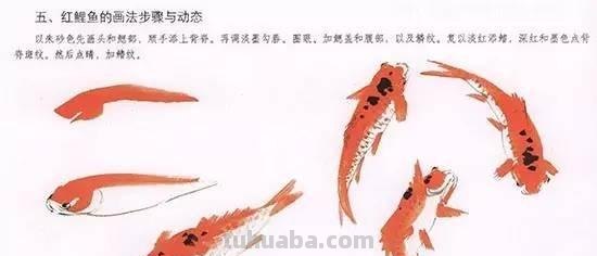 国画｜各种鱼的写意画法