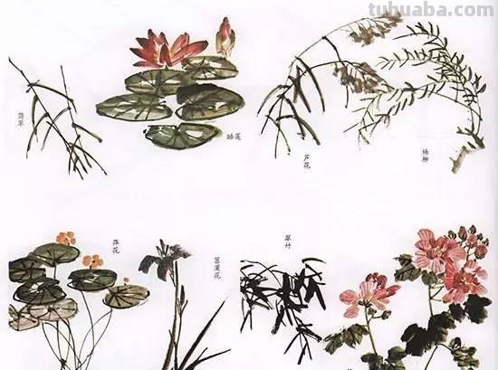 国画｜各种鱼的写意画法