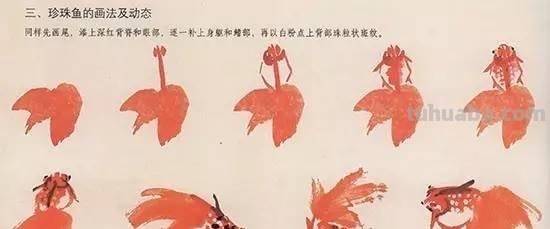国画｜各种鱼的写意画法