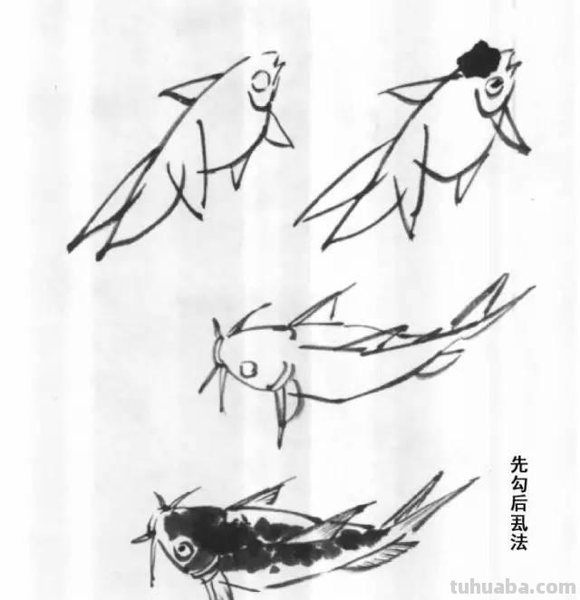 国画｜各种鱼的写意画法