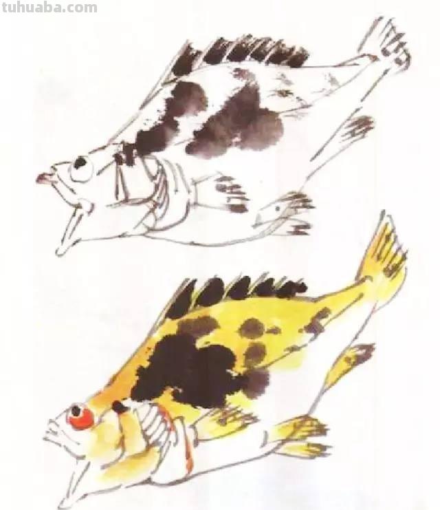 国画｜各种鱼的写意画法