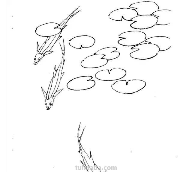 国画｜各种鱼的写意画法