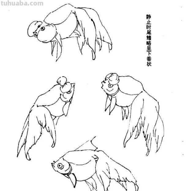 国画｜各种鱼的写意画法