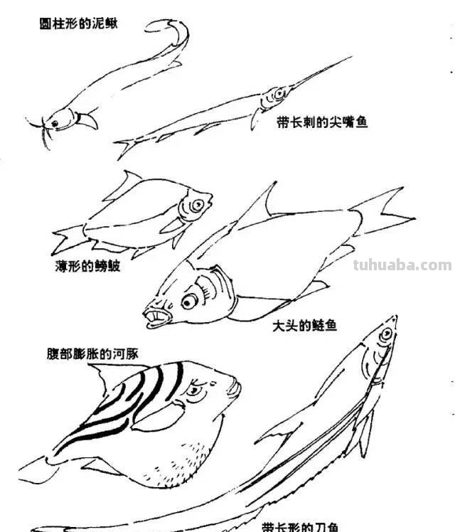 国画｜各种鱼的写意画法