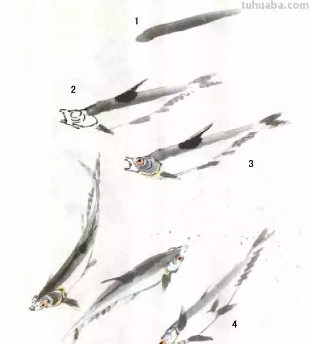 国画｜各种鱼的写意画法