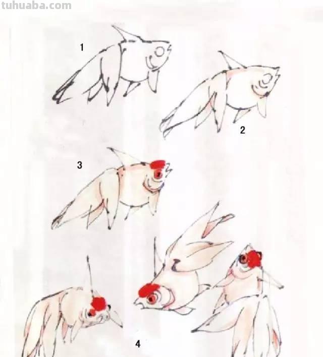 国画｜各种鱼的写意画法