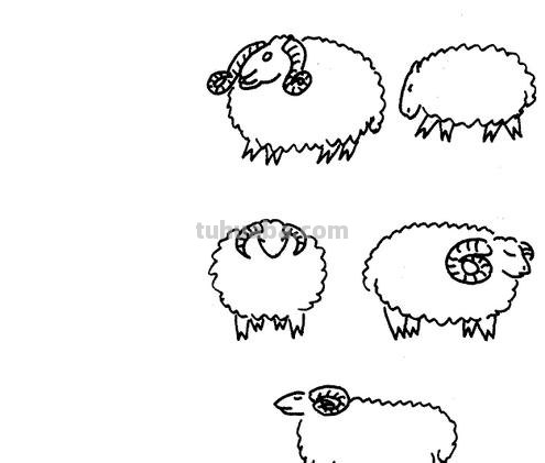 羊怎么画