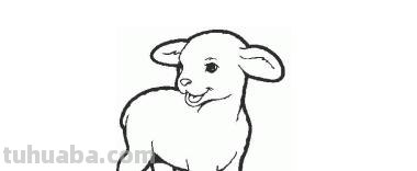 羊怎么画