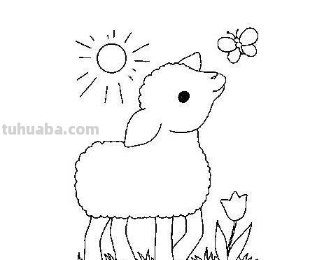羊怎么画