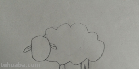 羊怎么画