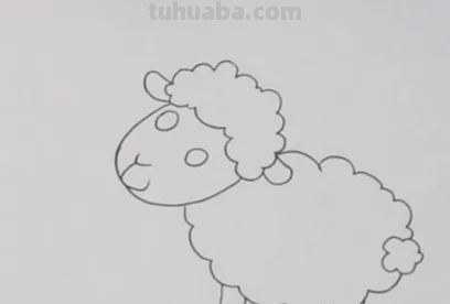 小羊怎么画?