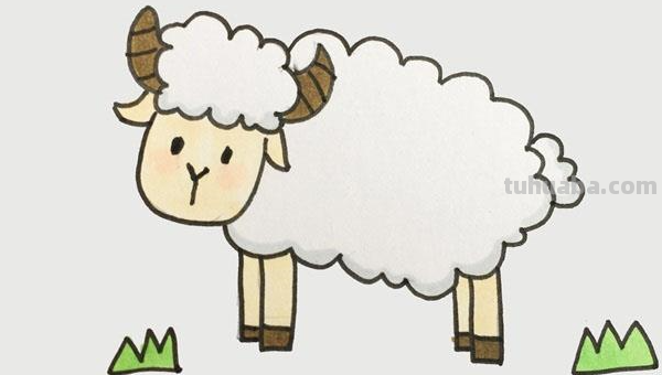 如何画一只可爱的小羊