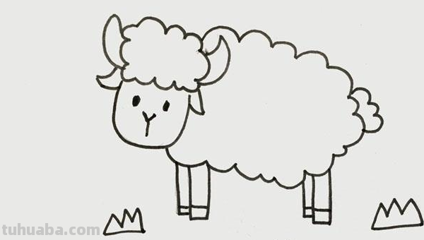 如何画一只可爱的小羊