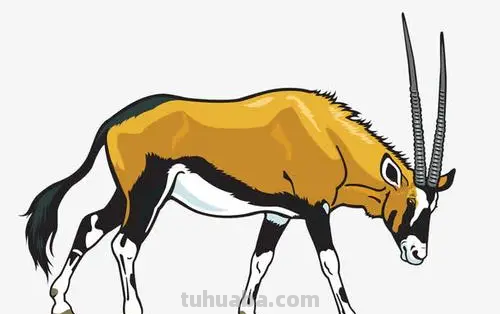 羚羊怎么画 羚羊怎么画简单又漂亮