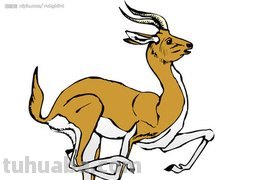 羚羊彩铅简笔画用什么颜色