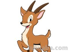 羚羊彩铅简笔画用什么颜色