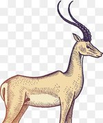 羚羊彩铅简笔画用什么颜色