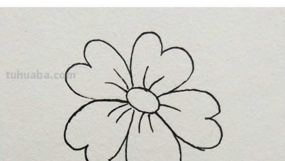 花儿怎么画
