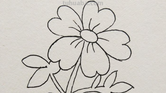 花儿怎么画