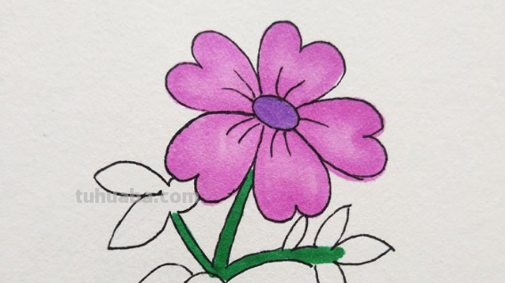 花儿怎么画