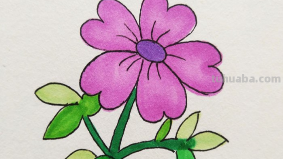 花儿怎么画