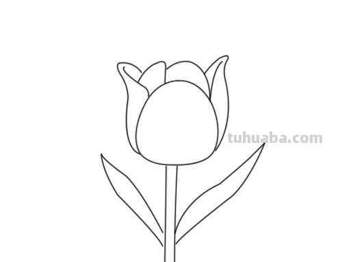 怎么画花朵
