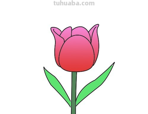 怎么画花朵