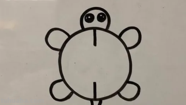 怎么画乌龟又简单又好看