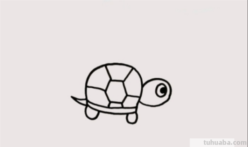 乌龟的画法简单又漂亮