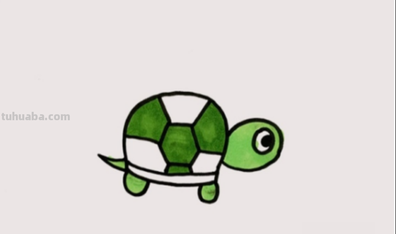 乌龟的画法简单又漂亮