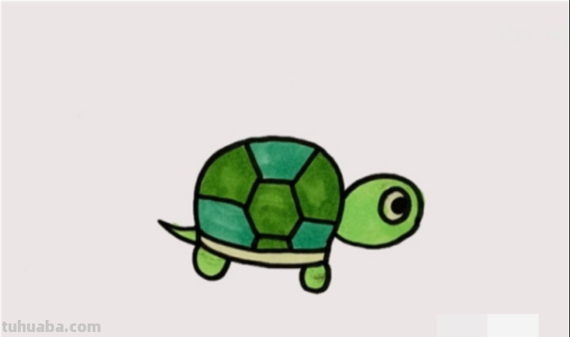 乌龟的画法简单又漂亮