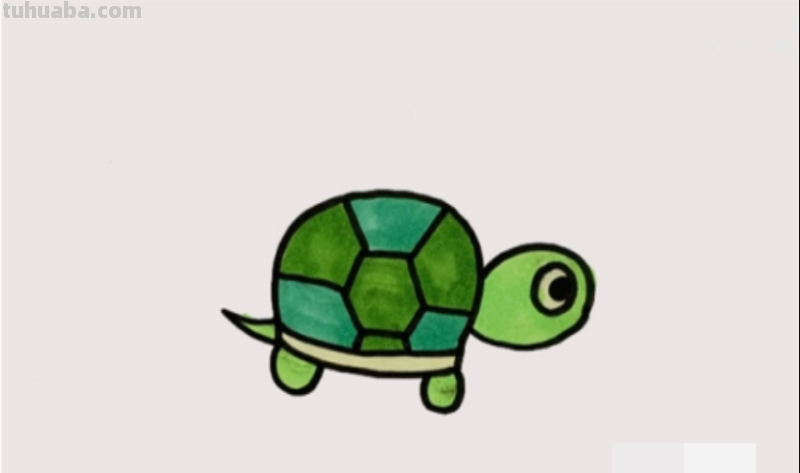 乌龟的画法简单又漂亮
