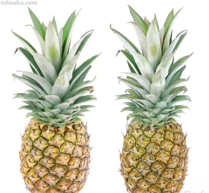 画得比照片还漂亮!彩铅玩到这境界让人很慌...... 画得比照片还漂亮!彩铅玩到这境界让人很慌......