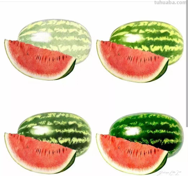 画得比照片还漂亮!彩铅玩到这境界让人很慌...... 画得比照片还漂亮!彩铅玩到这境界让人很慌......
