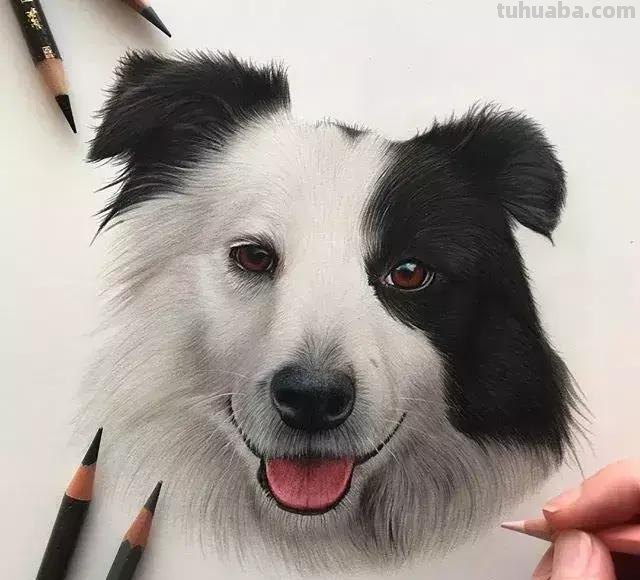 画得比照片还漂亮!彩铅玩到这境界让人很慌...... 画得比照片还漂亮!彩铅玩到这境界让人很慌......