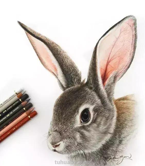 画得比照片还漂亮!彩铅玩到这境界让人很慌...... 画得比照片还漂亮!彩铅玩到这境界让人很慌......