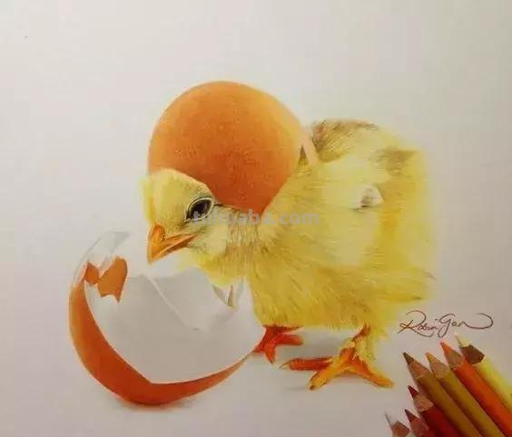 画得比照片还漂亮!彩铅玩到这境界让人很慌...... 画得比照片还漂亮!彩铅玩到这境界让人很慌......