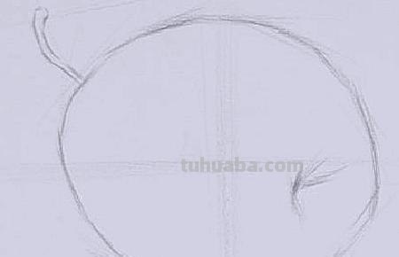 彩铅青梨怎么画 色彩梨子怎样画？用什么颜色？谢？