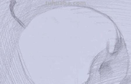 彩铅青梨怎么画 色彩梨子怎样画?用什么颜色?谢? 彩铅青梨怎么画 色彩梨子怎样画?用什么颜色?谢?
