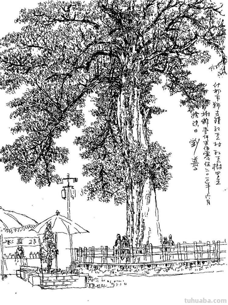 「转载美术」一组古镇速写作品欣赏