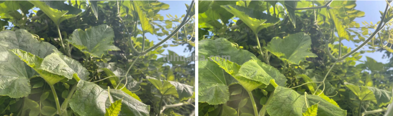 你真以为手机摄影很简单么，看看职业手机摄影师都用的什么器材吧