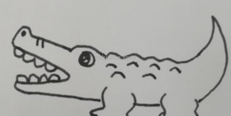 怎么画鳄鱼简笔画 如何画鳄鱼又帅又霸气? 怎么画鳄鱼简笔画 如何画鳄鱼又帅又霸气?