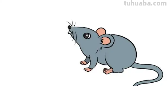 小老鼠怎么画简笔画