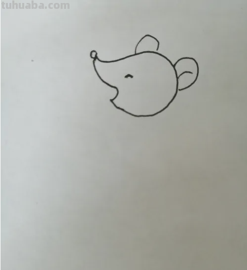 老鼠的画法
