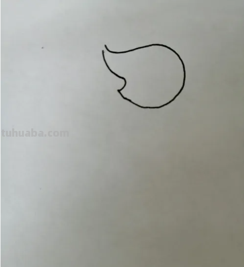 老鼠的画法(简单又好看)